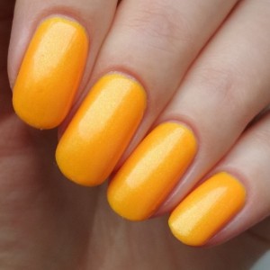 Mystery Set (LE)